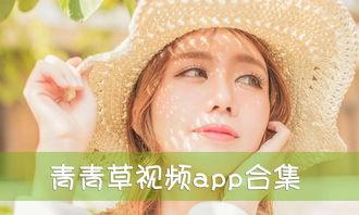 青青草国产免费,探寻国产影视的青春魅力